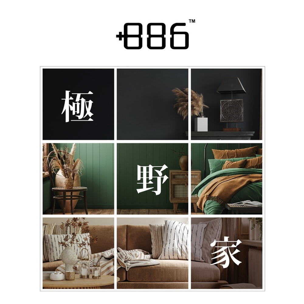 +886 [極野家] 8吋 擺頭靜音款 雙葉空氣循環扇-細節圖5