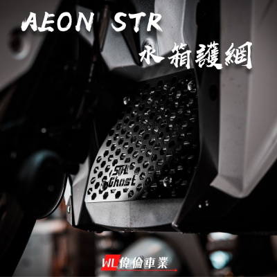 【偉倫精品零件】Ghost factory AEON STR水箱護網 水箱網 STR 宏佳騰 300