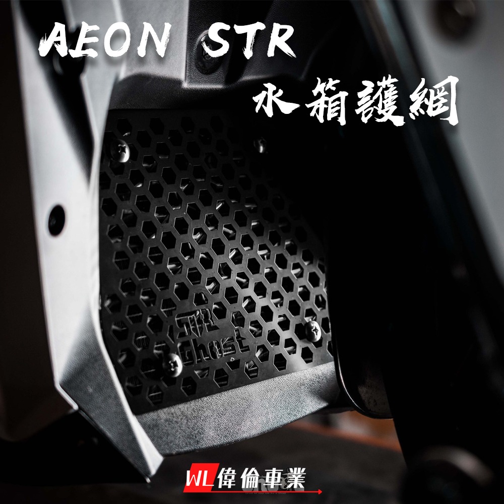 【偉倫精品零件】Ghost factory AEON STR水箱護網 水箱網 STR 宏佳騰 300-細節圖3