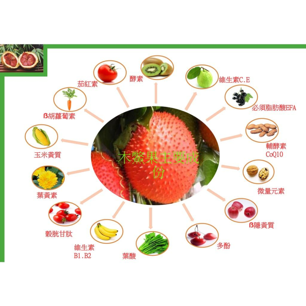 【田野仕】洛神木鱉果粉🥣  洛神花 火龍果 台灣在地台東一號木鱉果 無特殊香味 只有淡淡的果香 無添加糖 冷熱水-細節圖4