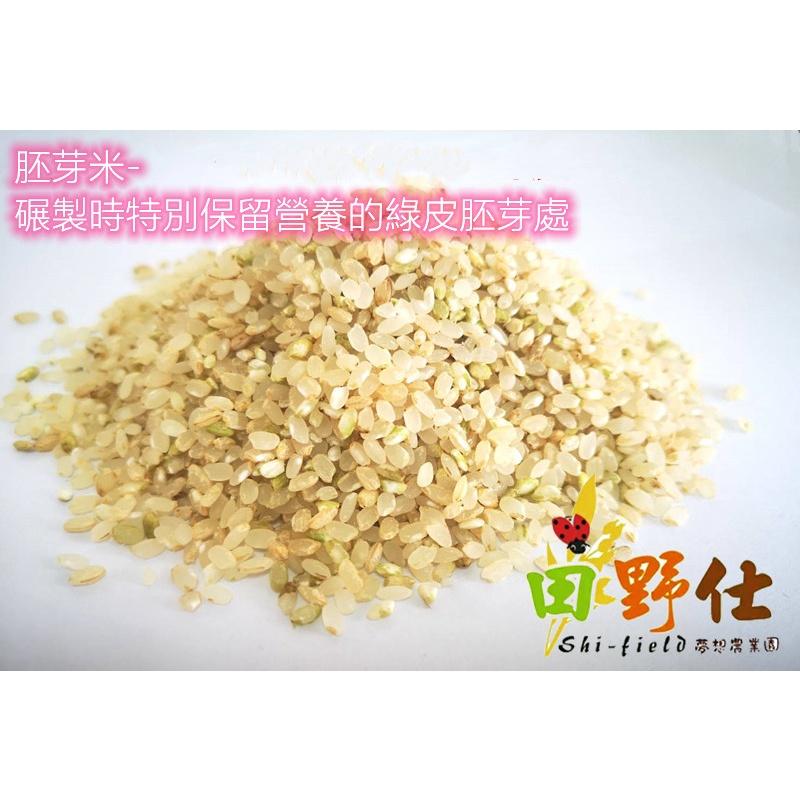 【田野仕】台梗九號胚芽米 南投草屯九九峰下 純淨龍泉圳水源栽培 推薦胚芽米人氣排行 免浸泡 5包以上請選用宅配物流-細節圖3
