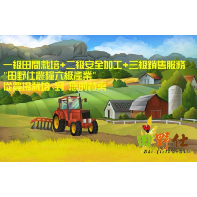 【田野仕】台梗九號胚芽米 南投草屯九九峰下 純淨龍泉圳水源栽培 推薦胚芽米人氣排行 免浸泡 5包以上請選用宅配物流-細節圖5