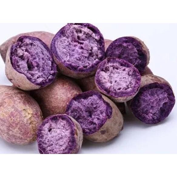 【田野仕】紫薯纖豆奶 Purple sweet potato soy milk 補充花青素 即溶沖泡 綿密口感 台灣生產-細節圖5