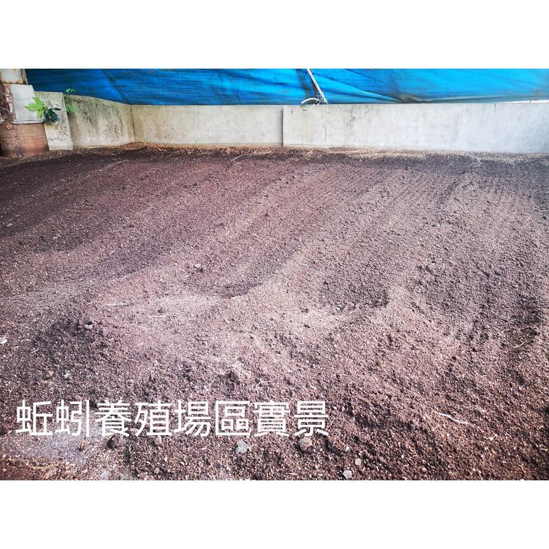 【田野仕】蚯蚓便便 純蚯蚓糞 超取最多4包 富含有機質 增強地力 可當貓砂 調節土壤酸鹼度  除臭 豐富家裡的小花園-細節圖2