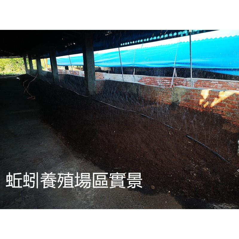 【田野仕】蚯蚓便便 純蚯蚓糞 超取最多4包 富含有機質 增強地力 可當貓砂 調節土壤酸鹼度  除臭 豐富家裡的小花園-細節圖3