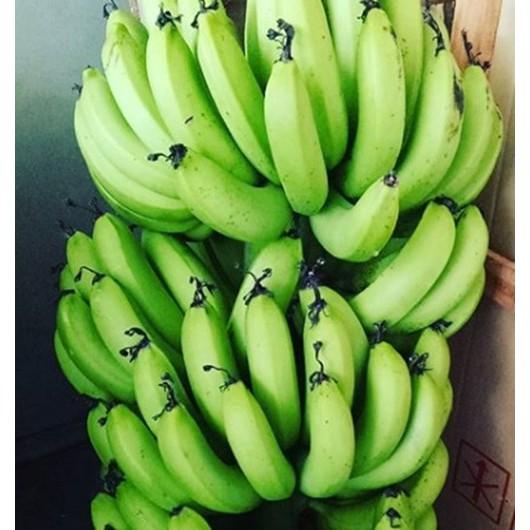 【田野仕】忘憂綠香蕉粉 Green banana 加入綠香蕉皮製作 即溶沖泡 無添加糖 無香料 無化學添加物-細節圖3