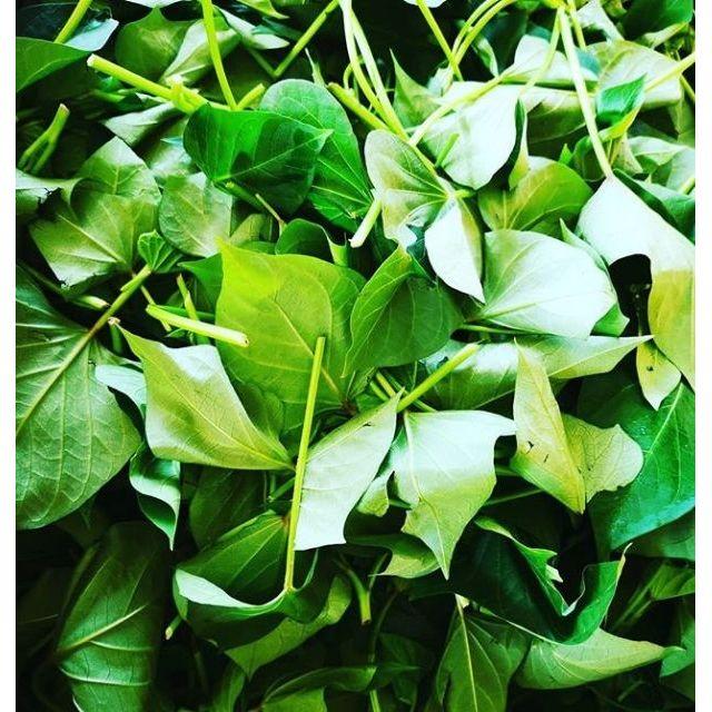 【田野仕】綠葉菜精力粉🥬季節蔬菜 無添加糖 即溶沖泡 無香料 無調味 地瓜葉 蔬菜粉 純作物製作 需自行調味-細節圖3