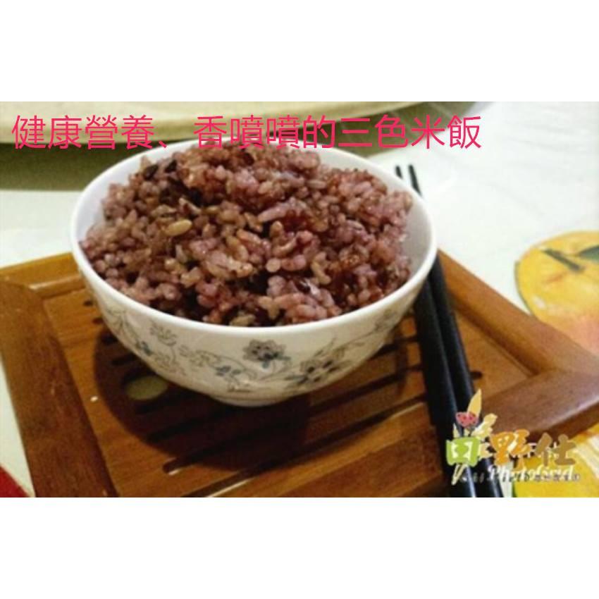 【田野仕】台灣三珍好米 1000公克 Rice 秈糙米 黑米 紅糙米 台灣米  三合一 台灣在地種植-細節圖2