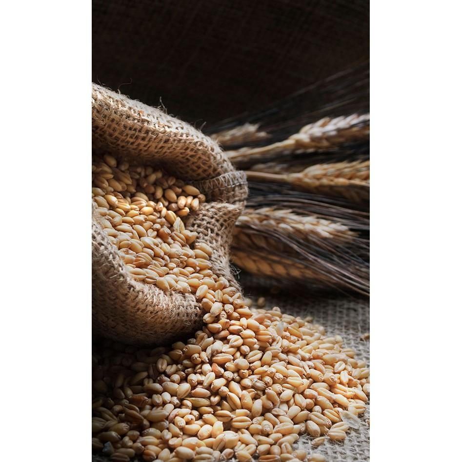 【田野仕】糙米麩  古早味 紅藜麥 可可🥣 作物原味米麩 糙米 無加糖 Sugarfree 嬰幼兒副食品 台灣米-細節圖3