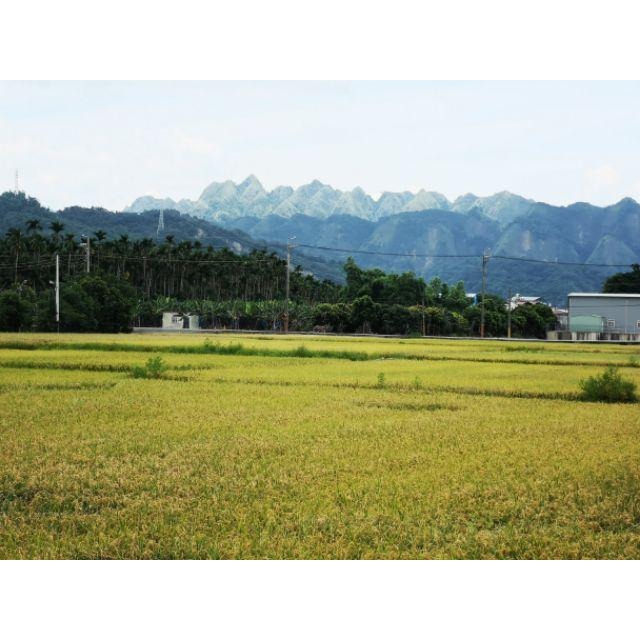 【田野仕】糙米麩  古早味 紅藜麥 可可🥣 作物原味米麩 糙米 無加糖 Sugarfree 嬰幼兒副食品 台灣米-細節圖5