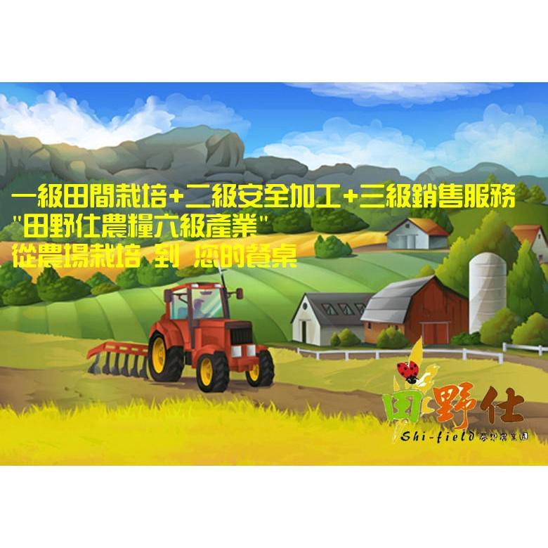 【田野仕】台中秈10號有機糙米 1斤裝 台灣在地米 秈糙米 小農 友善耕作 有機米 有機秈糙米 鬆軟好消化-細節圖5