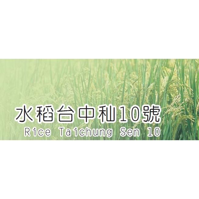【田野仕】台中秈10號有機糙米 1斤裝 台灣在地米 秈糙米 小農 友善耕作 有機米 有機秈糙米 鬆軟好消化-細節圖6