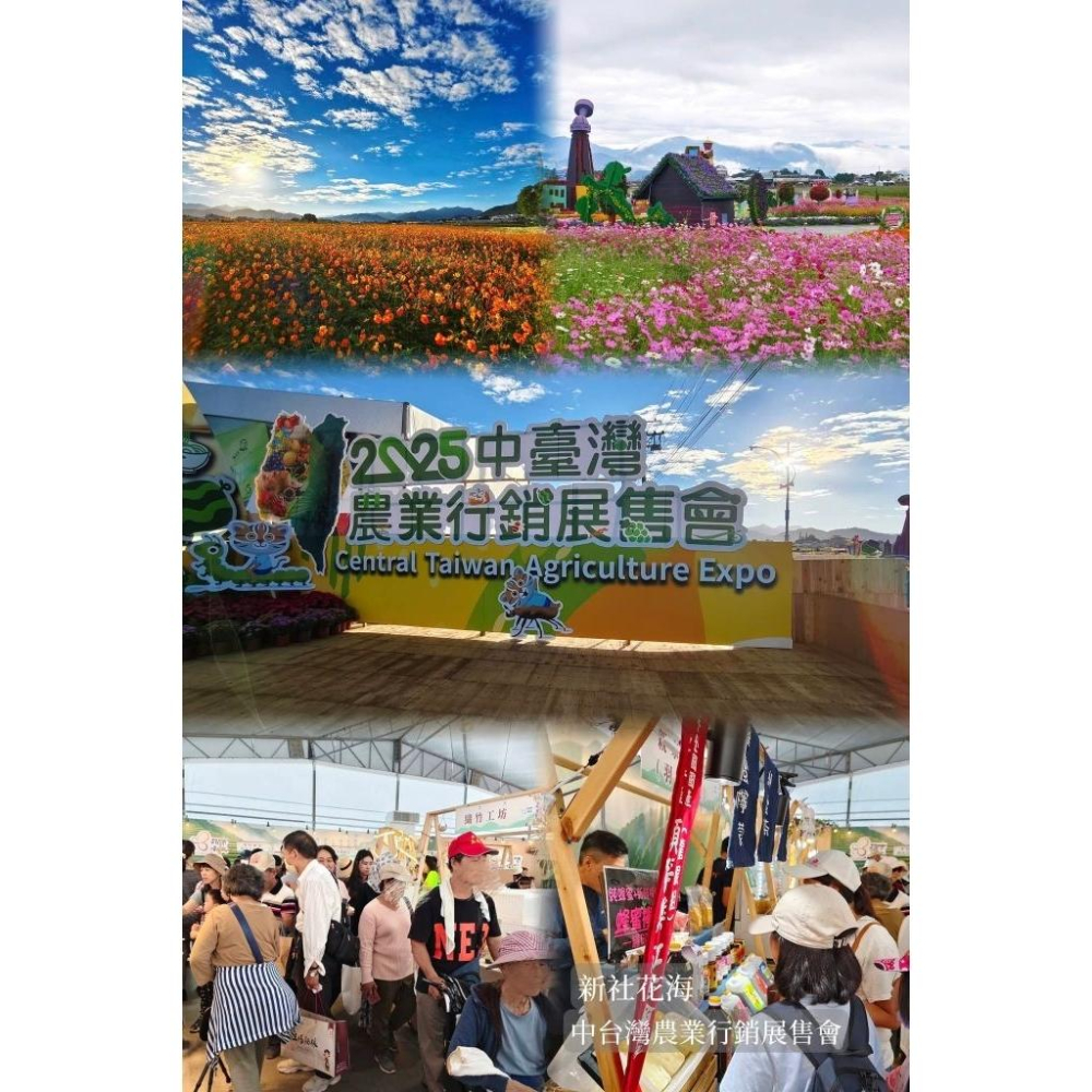 【田野仕】9 in 1 綜合米穀雪花片 即溶沖泡粉 九種健康穀物製作  無加糖 無調味 農糧署米糧俱樂部 農民直營品牌-細節圖4