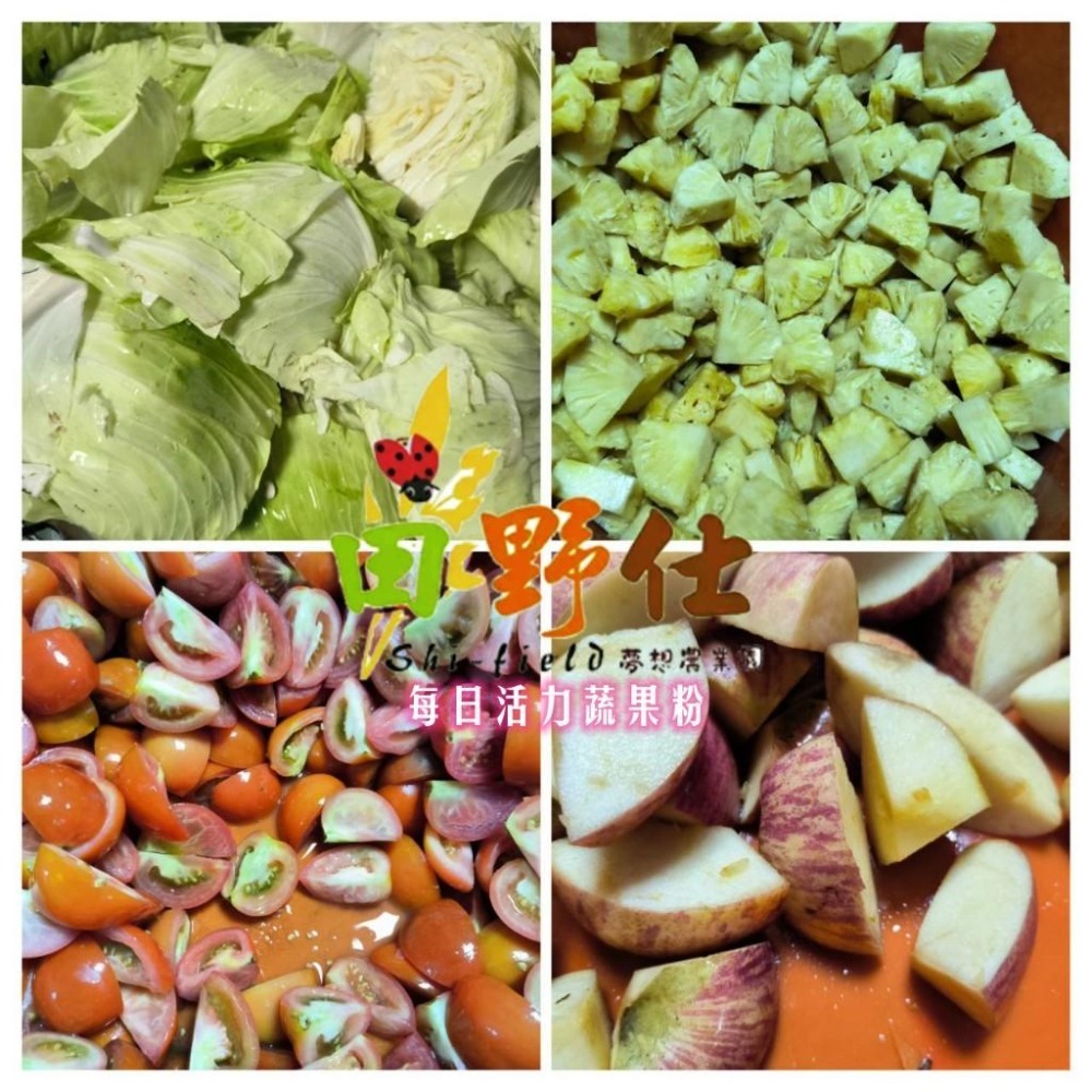 【田野仕】彩虹多色蔬菜粉 *全系列無糖無調味 * 沖泡方便 易溶解 可添加入牛奶 豆漿等飲品 冷熱水皆可沖泡🍒-細節圖3