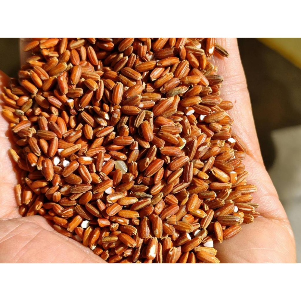 【田野仕】有機紅糙米 Organic Red Rice 好吃有稻理就愛台灣米 有機認證 台灣米 紅米 全穀營養 有機米-細節圖6