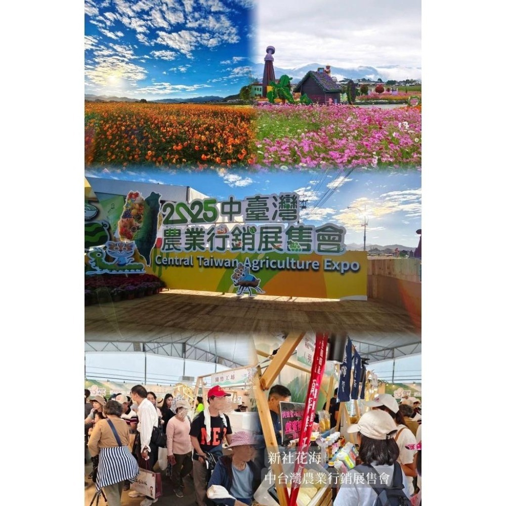 【田野仕】紅薏仁百草茶系列 枸杞茶 牛蒡茶 清舒茶 無咖啡因 採用枸杞莖葉製作 日常輕保養飲品 穀物烘培茶-細節圖8