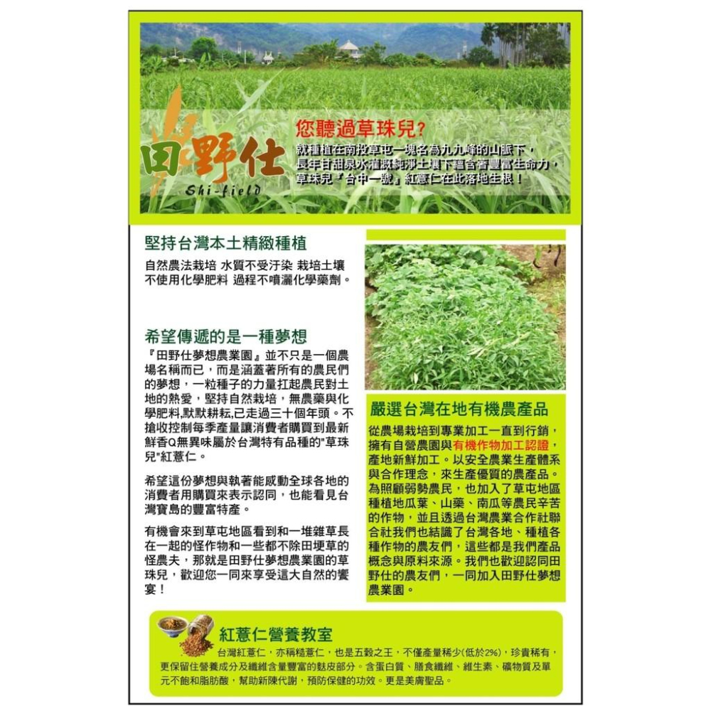 薏米香茶 紅薏仁胚芽茶 薏仁茶 紅薏仁茶 穀物茶 台灣產 無咖啡因 草屯紅薏仁-細節圖2
