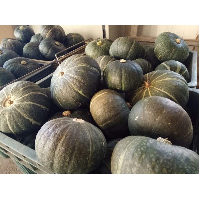 【田野仕】小米南瓜粉🎃 (加入南瓜子一同製作)  即溶沖泡  無香料 無添加糖 純素  南投草屯產-細節圖2