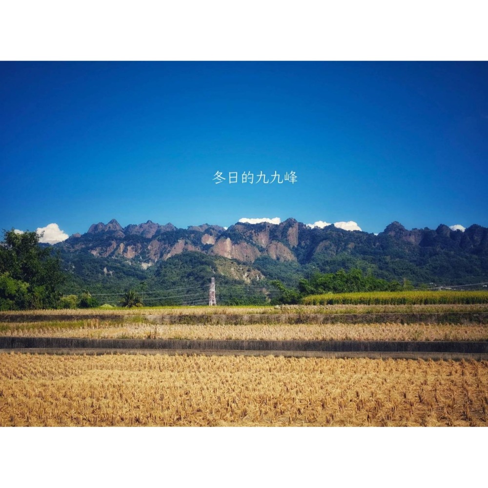 【田野仕】台灣原生種黑米 紅米 台梗9號胚芽米 全穀營養 花青素 膳食纖維-細節圖7