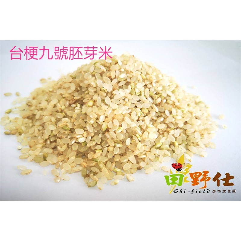 台梗九號胚芽米