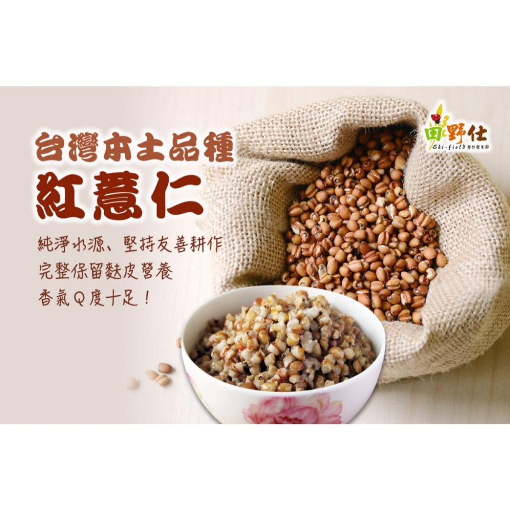 草珠兒紅薏仁 (友善栽培三年以上) 草屯紅薏仁 南投草屯40年歷史產地 台灣紅薏仁 膳食纖維 全穀營養-細節圖4