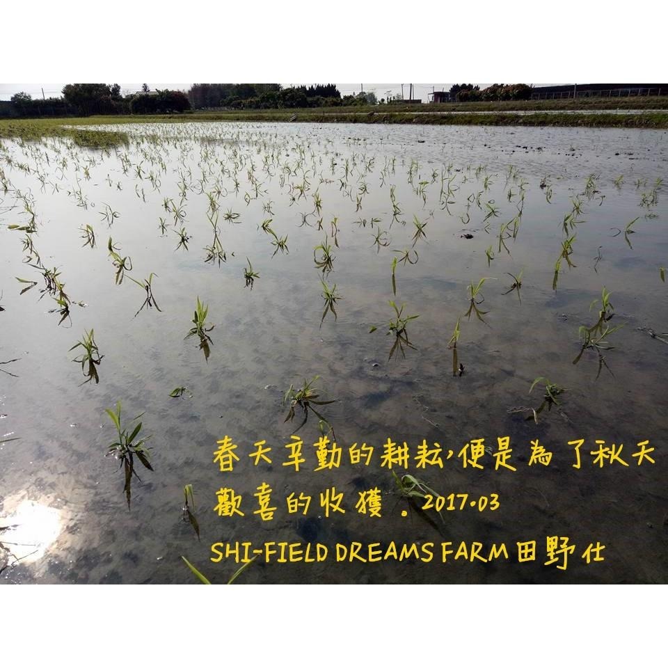 【田野仕】日曬有機紅薏仁 南投草屯九九峰下 傳統日曬法 中興大學有機認證 草屯薏仁 台灣紅薏仁 有機紅米 有機黑米-細節圖6