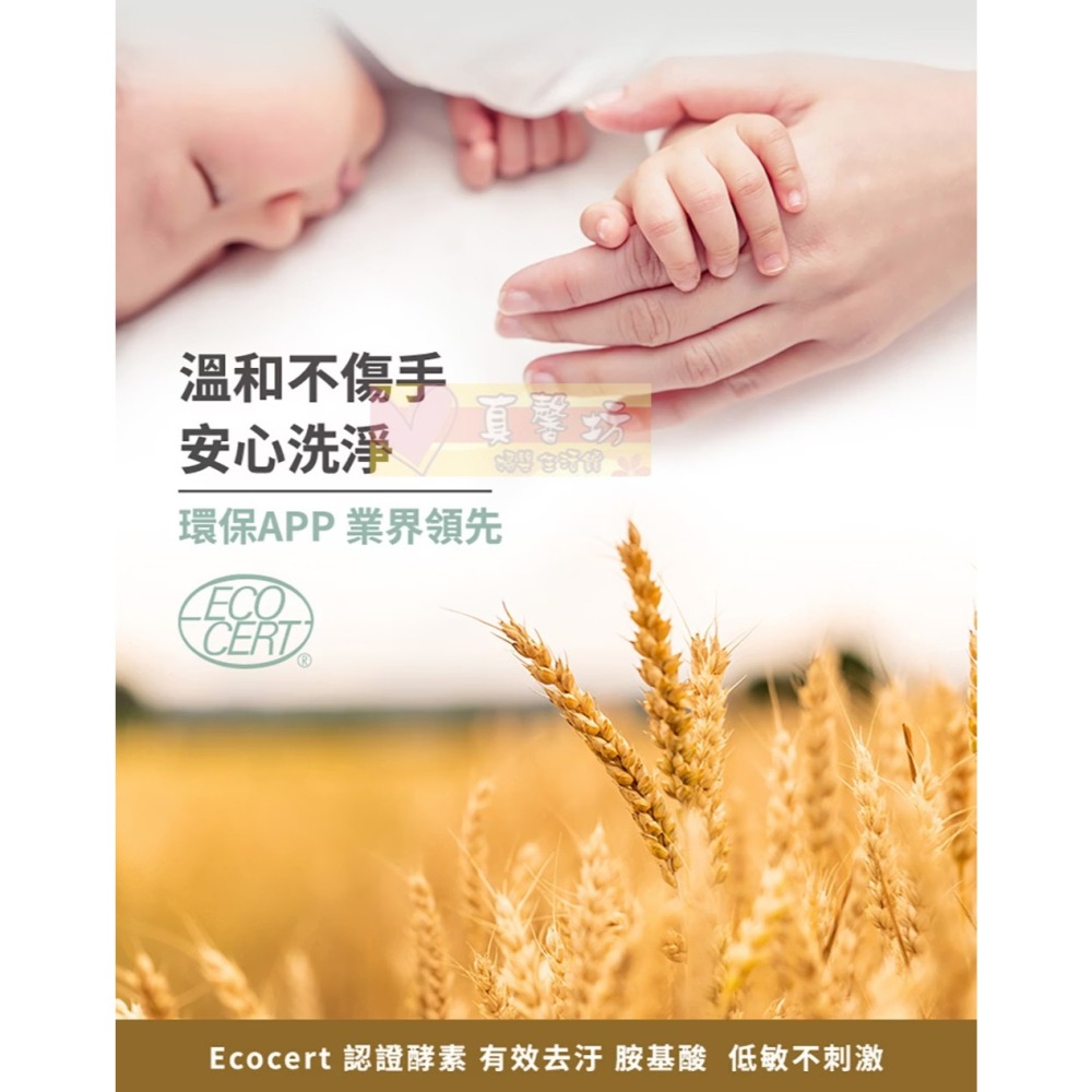 nac nac 酵素奶瓶蔬果洗潔慕斯(1罐+1包)(單包) - 洗碗精/蔬果清洗/麗嬰房-細節圖3