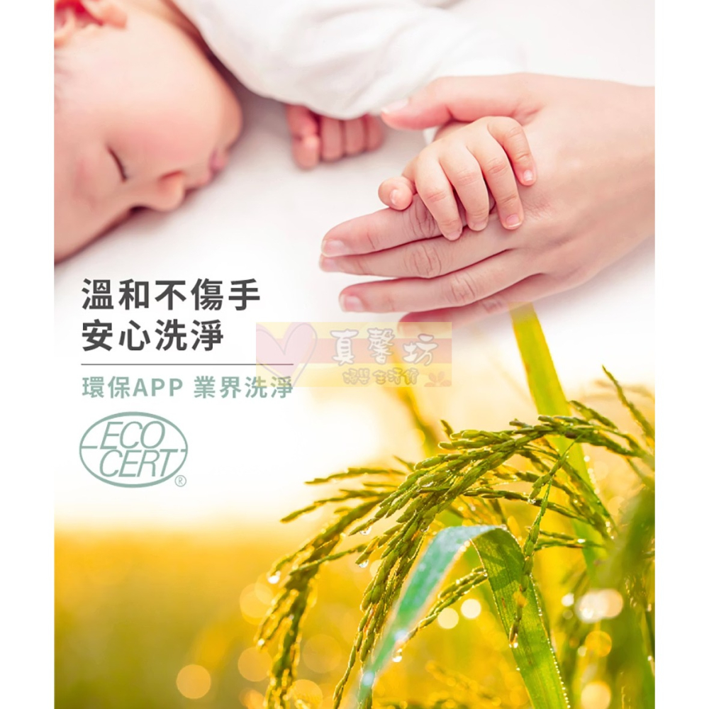 nac nac 酵素衣物去漬劑 噴瓶300ml/重裝瓶300ml -  麗嬰房/衣物去汙劑 / 去漬-細節圖7