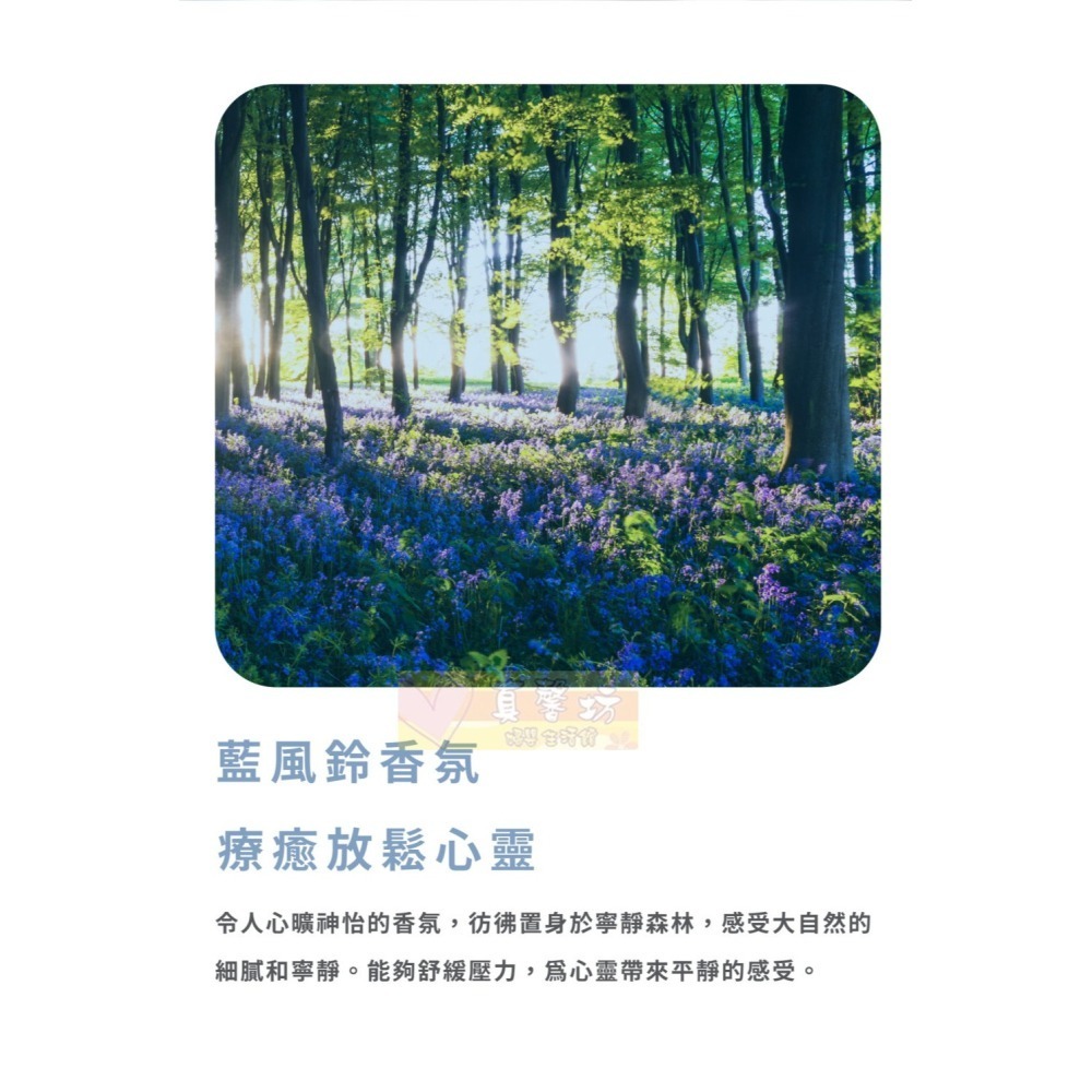 nac nac 抗菌防護除臭噴霧 250ml - 抗菌噴霧/乾洗手/玩具噴霧-細節圖5