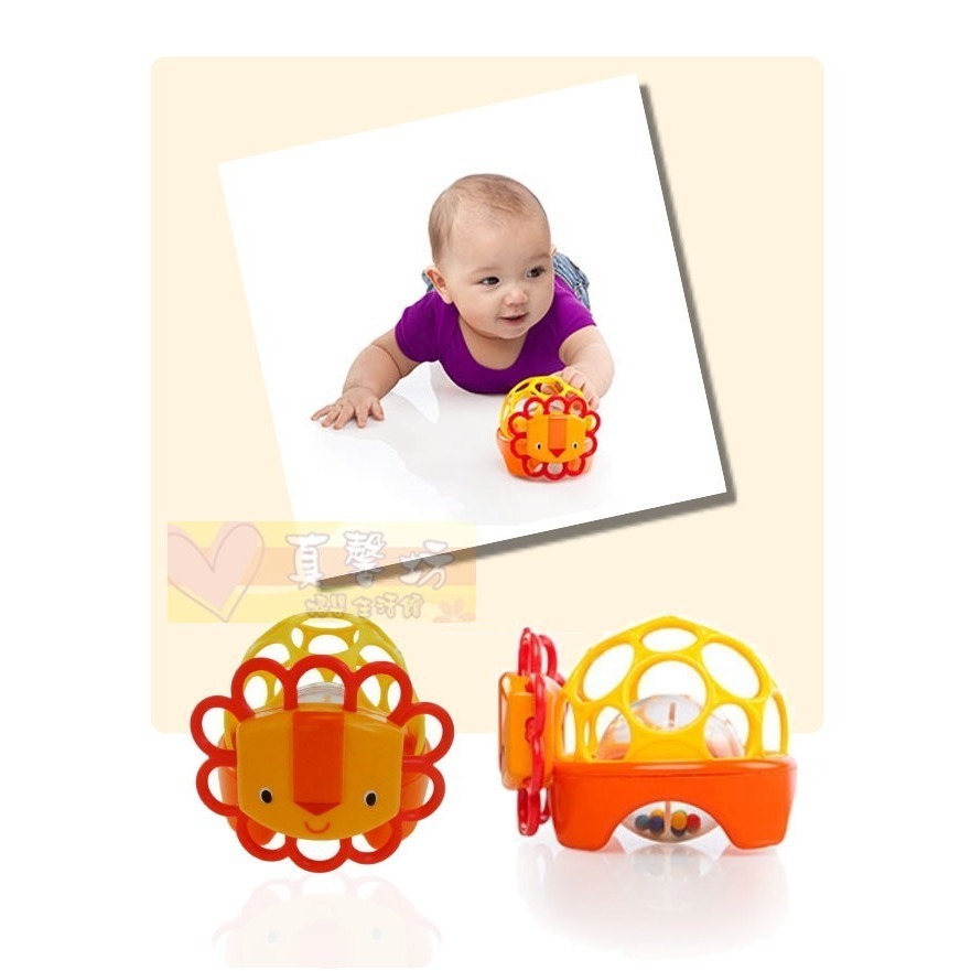 洞動動物球_獅子橘