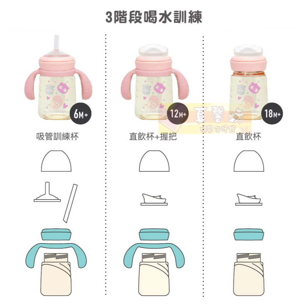 加拿大Marcus&Marcus PPSU2合1訓練水杯套組(180ml/300ml) - 學習水杯/雙耳杯/直飲杯-細節圖4