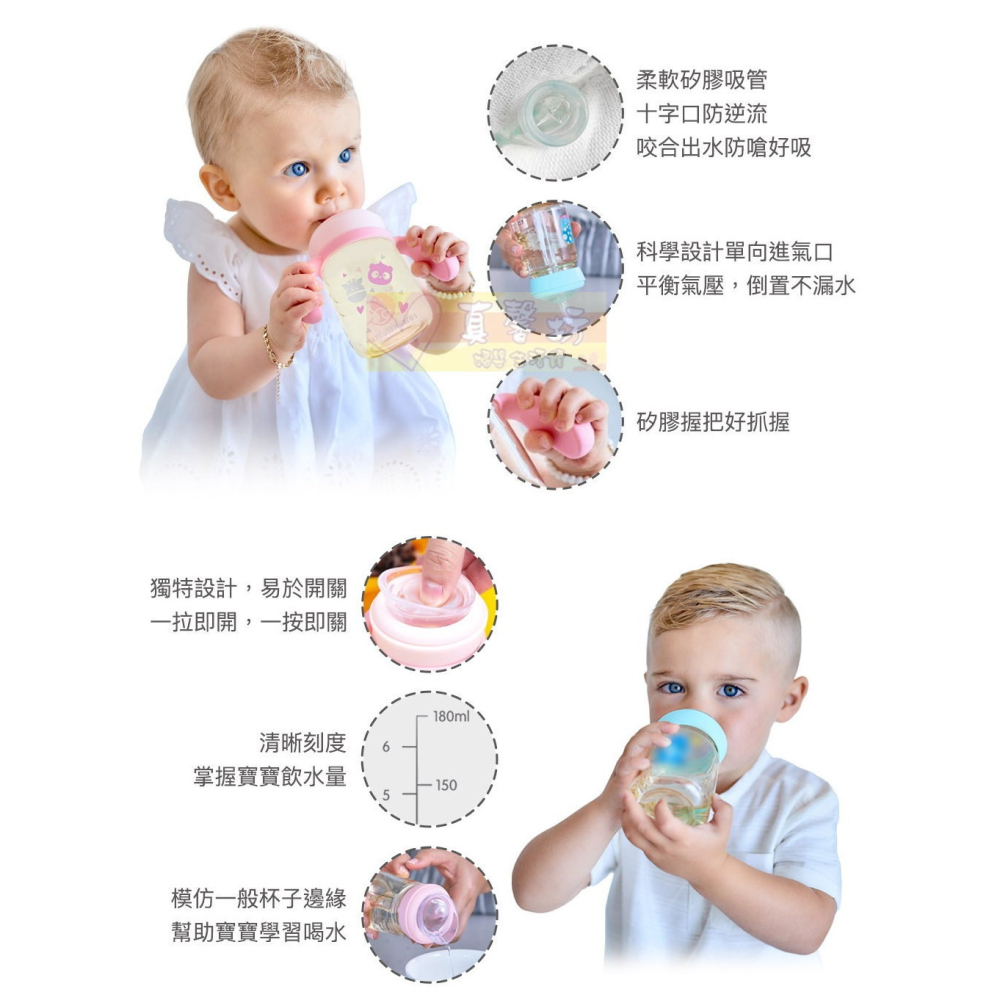 加拿大Marcus&Marcus PPSU2合1訓練水杯套組(180ml/300ml) - 學習水杯/雙耳杯/直飲杯-細節圖5