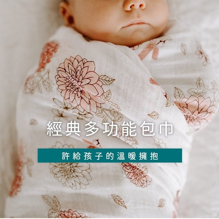 美國 Aden+Anais 經典多功能包巾(2入/3入) - 包巾/紗布巾/迪士尼/小飛象/維尼/迪士尼公主-細節圖3