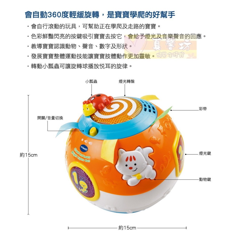 英國Vtech 炫彩聲光滾滾球(粉/橘) - 兒童玩具/聲光玩具/音樂玩具/球球玩具-細節圖3