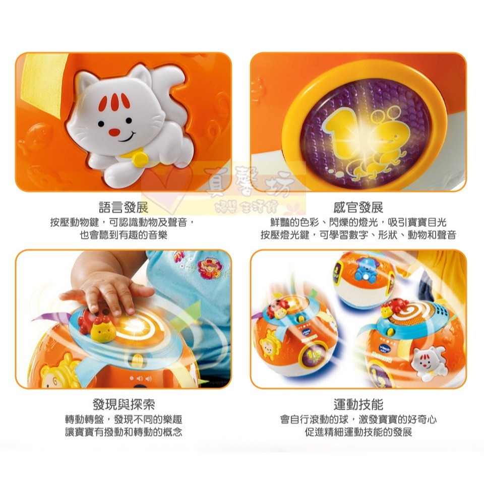 英國Vtech 炫彩聲光滾滾球(粉/橘) - 兒童玩具/聲光玩具/音樂玩具/球球玩具-細節圖4