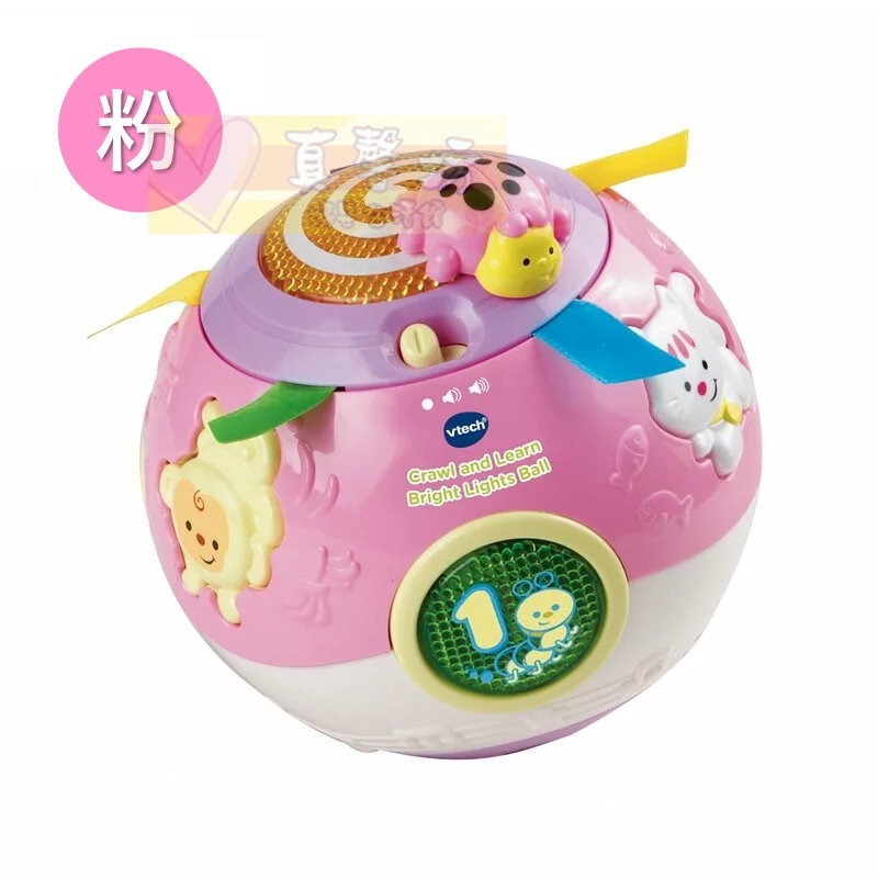 英國Vtech 炫彩聲光滾滾球(粉/橘) - 兒童玩具/聲光玩具/音樂玩具/球球玩具-規格圖6
