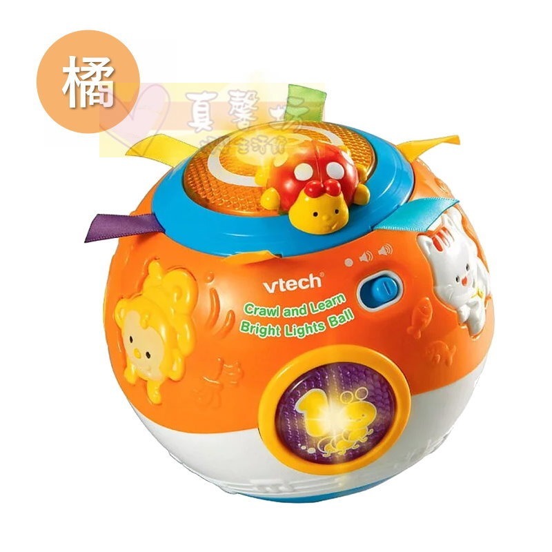 英國Vtech 炫彩聲光滾滾球(粉/橘) - 兒童玩具/聲光玩具/音樂玩具/球球玩具-規格圖6