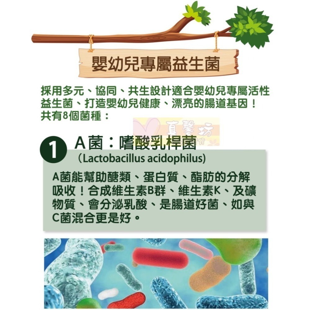 ㄚ克瑪 天天好菌(85條/盒) - 活性益生菌/兒童益生菌/寶寶益生菌/ALKmaar阿克瑪-細節圖3