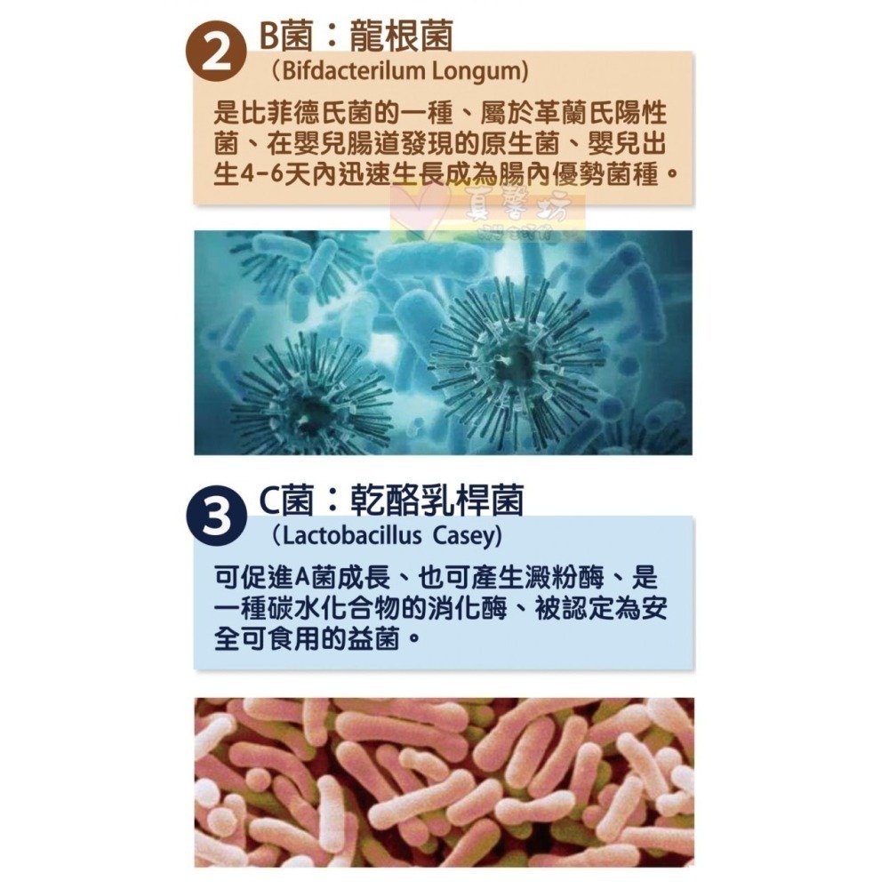 ㄚ克瑪 天天好菌(85條/盒) - 活性益生菌/兒童益生菌/寶寶益生菌/ALKmaar阿克瑪-細節圖4