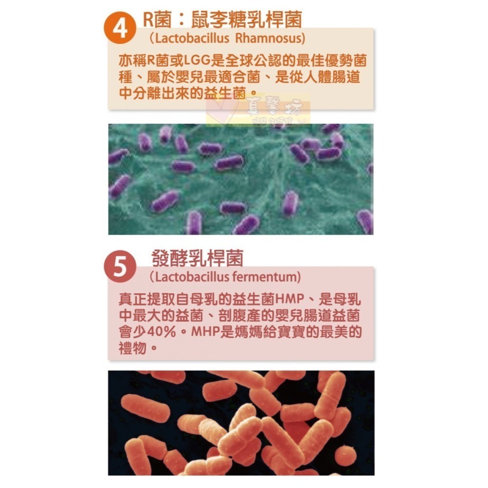ㄚ克瑪 天天好菌(85條/盒) - 活性益生菌/兒童益生菌/寶寶益生菌/ALKmaar阿克瑪-細節圖5