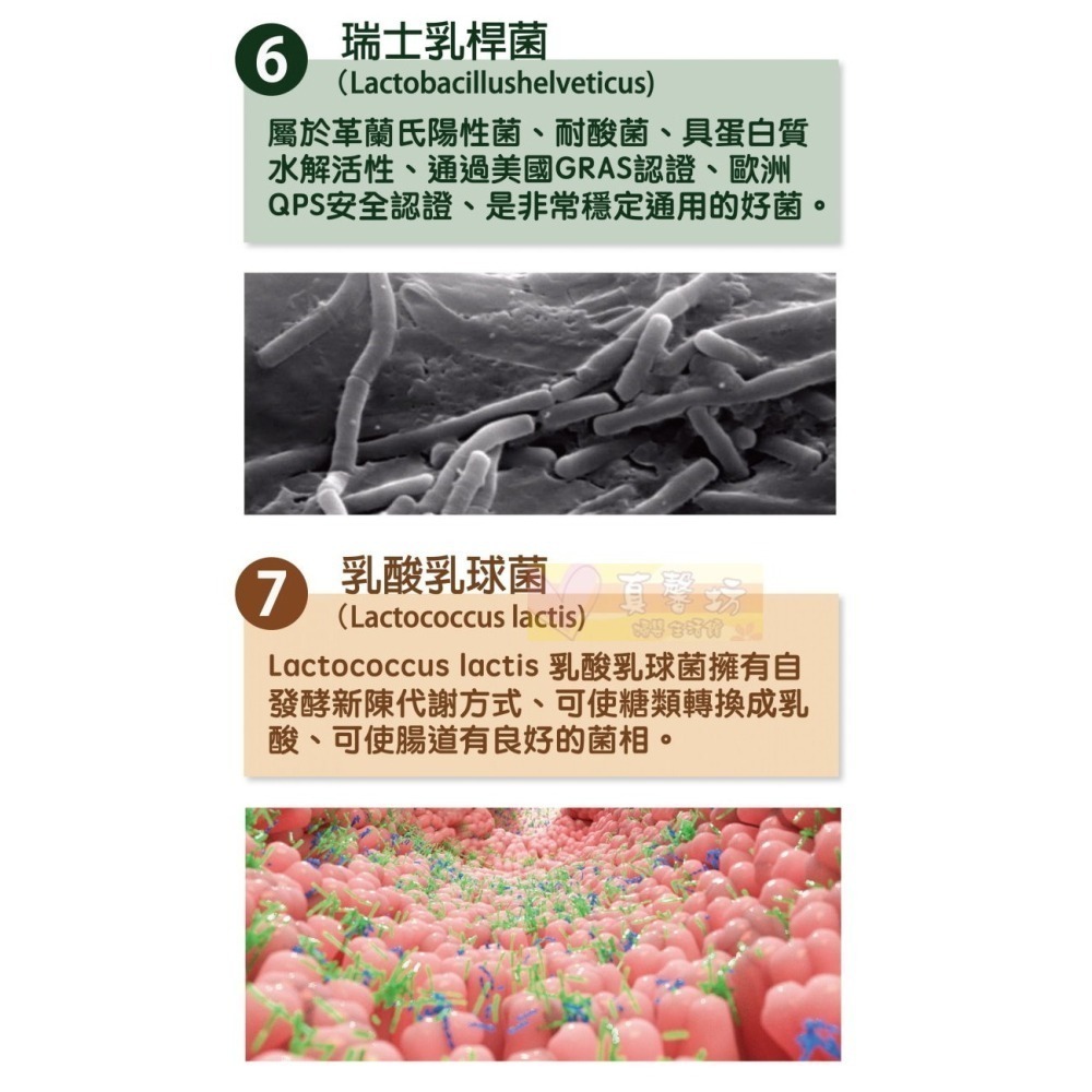 ㄚ克瑪 天天好菌(85條/盒) - 活性益生菌/兒童益生菌/寶寶益生菌/ALKmaar阿克瑪-細節圖6