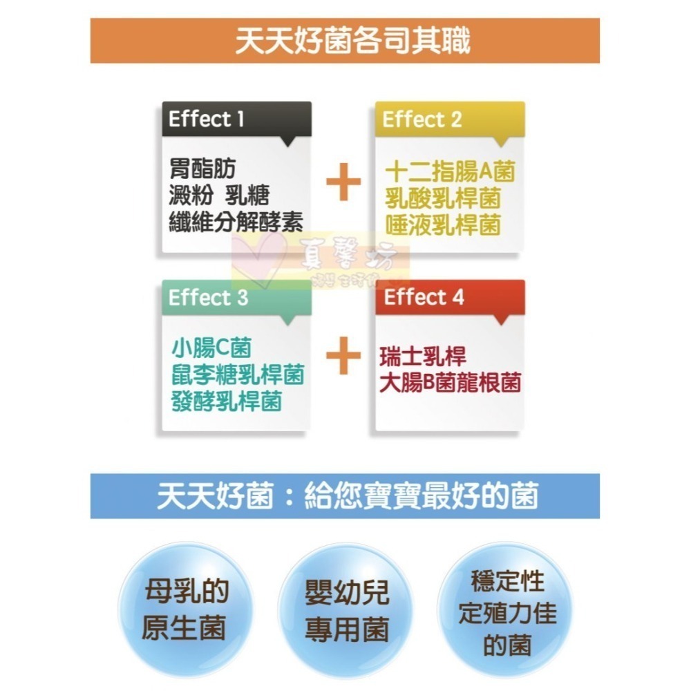 ㄚ克瑪 天天好菌(85條/盒) - 活性益生菌/兒童益生菌/寶寶益生菌/ALKmaar阿克瑪-細節圖8