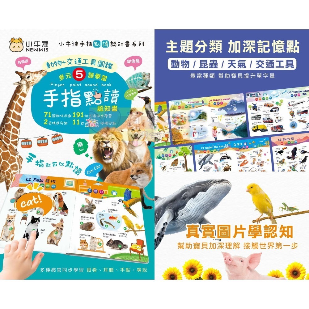 小牛津NEWWIS 手指點讀認知書(ㄅㄆㄇ+ABC+123 / 動物+交通工具圖鑑) - 手指書/按按書/多元五語學習-細節圖6
