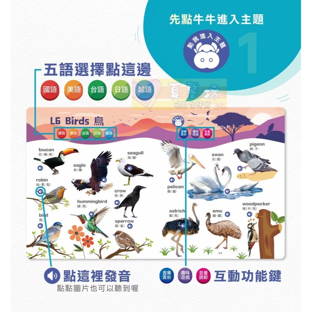 小牛津NEWWIS 手指點讀認知書(ㄅㄆㄇ+ABC+123 / 動物+交通工具圖鑑) - 手指書/按按書/多元五語學習-細節圖7