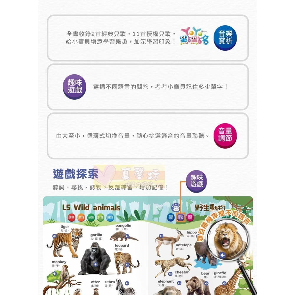 小牛津NEWWIS 手指點讀認知書(ㄅㄆㄇ+ABC+123 / 動物+交通工具圖鑑) - 手指書/按按書/多元五語學習-細節圖8