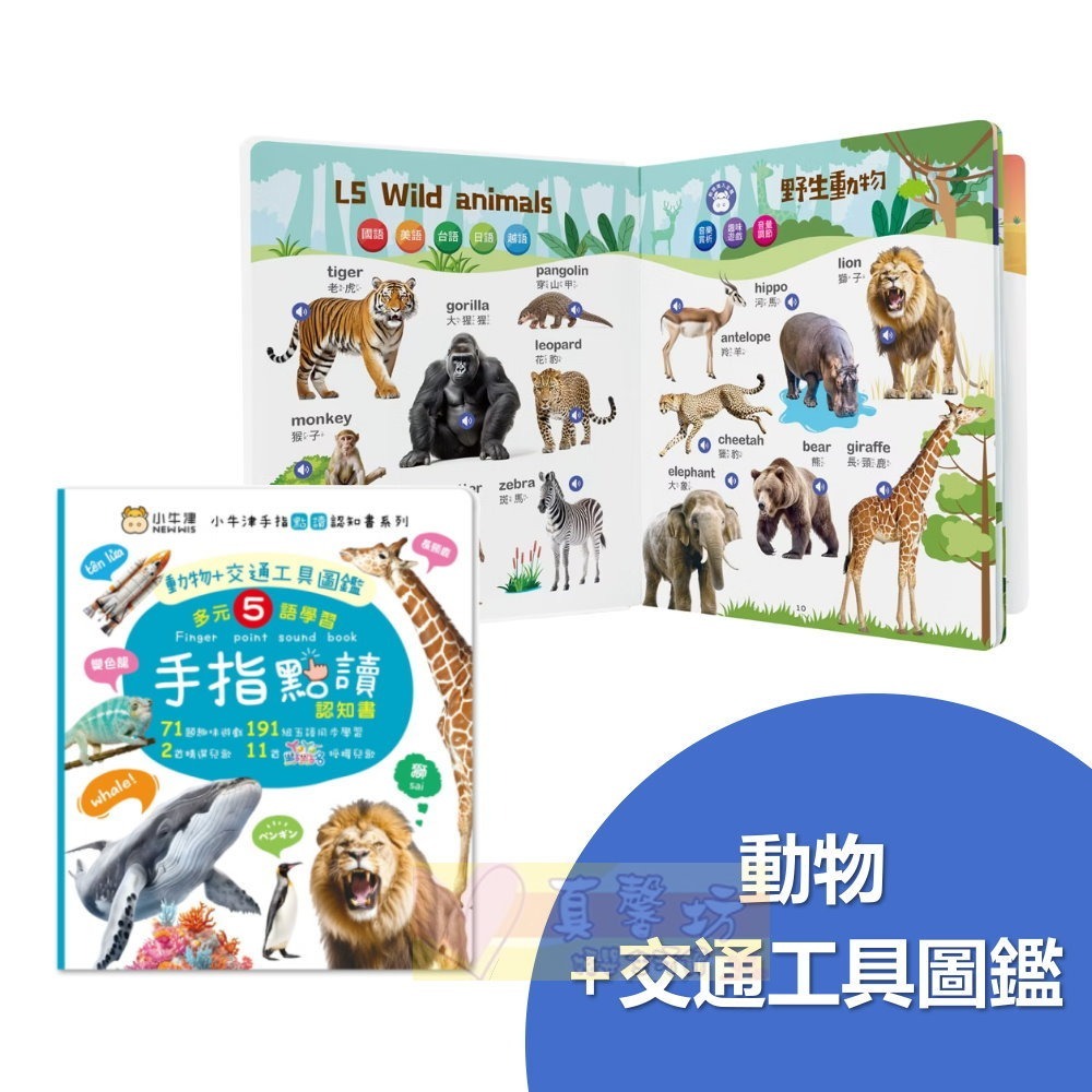 小牛津NEWWIS 手指點讀認知書(ㄅㄆㄇ+ABC+123 / 動物+交通工具圖鑑) - 手指書/按按書/多元五語學習-規格圖8