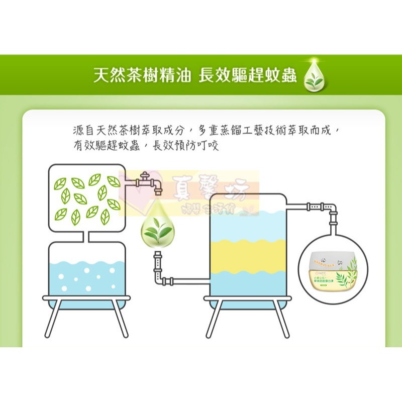 小鹿山丘 草本防蚊彈力凍250g (茶樹精油/迷迭香精油) - eggshell / 防蚊/驅蚊/草本防蚊凍-細節圖5
