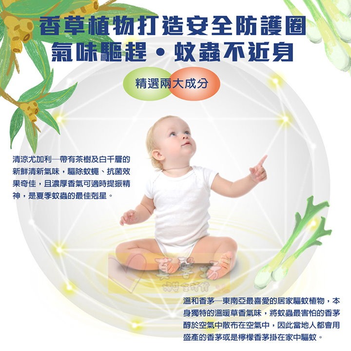 [多件優惠]酷咕鴨ku.ku 尤加利高效驅蚊貼片(12枚) - 防蚊貼/驅蚊貼/防蚊/驅蚊貼/酷咕鴨 kuku-細節圖5