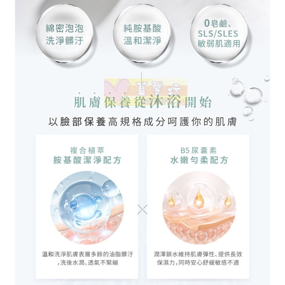 淨淨 胺基酸沐浴慕斯(600ml/隨身瓶50ml) 日光棉花/療癒花語/純淨無香 - 沐浴乳/cleanclean-細節圖4