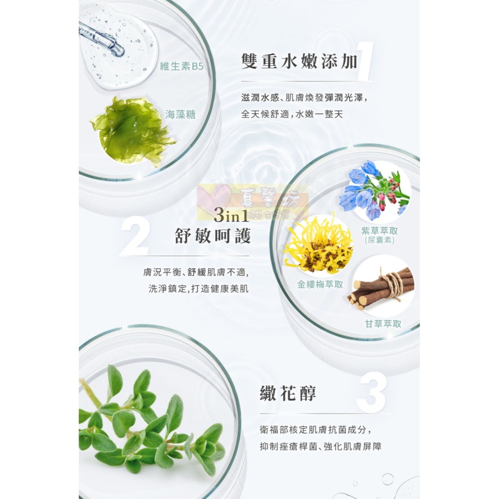 淨淨 胺基酸沐浴慕斯(600ml/隨身瓶50ml) 日光棉花/療癒花語/純淨無香 - 沐浴乳/cleanclean-細節圖5